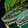 Venomous Coiler Icon