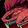 Ruby Writhe Icon