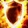 Holy Shield Icon