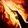 Burning Vehemence Icon