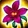 Desert Rose Icon