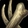 Ssscavenging Icon
