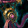 Soul-Cracking Dreamcatcher Icon