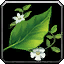 Herbalism - Discover where to collect herbs to fuel your crafting needs with our Herbalism guide!