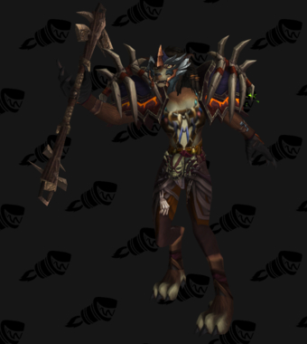 Feral Priest Cloth Transmog