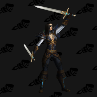 Elegant Rogue Leather Transmog