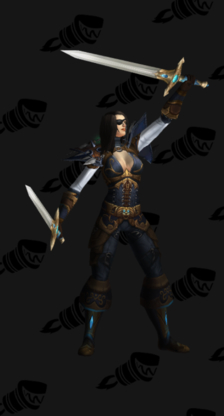 Elegant Rogue Leather Transmog