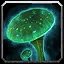 Mycolic Medicine Icon