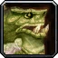 Aspect of the Turtle Icon