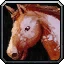 I Was Promised a Pony Icon