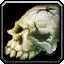Rotting Skull Icon