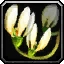 Unidentified Plant Parts Icon