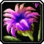 Lei of the Lifegiver Icon