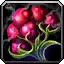 Tangy Wetland Cranberries Icon
