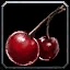Eternal Moonberry Icon