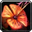 Orange Marigold Icon