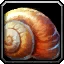 Snail Shell Icon