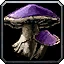 Tasty Toughshroom Icon