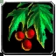 Preserved Holly Icon