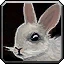 That Rabbit's Dynamite! Icon