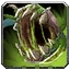Chompy Icon