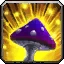 Sunseeker Mushroom Icon