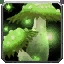 Immaculate Living Mushroom Icon