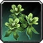 Silkweed Icon