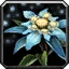 Snow Lily Icon