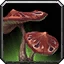 Fool's Cap Icon