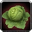 Green Cabbage Icon