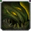 Spaulders of Dinomancy Icon
