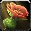 Sanguithorn Icon
