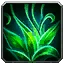Heart of the Wild Icon