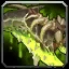 Venomous Gladiator's Warglaive Icon
