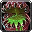 Gorgrond Flytrap Icon