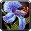 Talador Orchid Icon