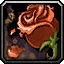 Mageroyal Icon