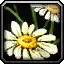 Find Herbs Icon