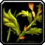 Bruiseweed Icon
