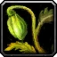 Greenhouse Icon