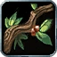 Nature's Reach Icon