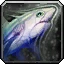 50-Lb Midnight Salmon Icon