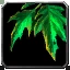 Leaf of the Ancient Protectors Icon
