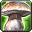 Wild Mushrooms Icon