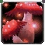 Blazing Mushroom Icon