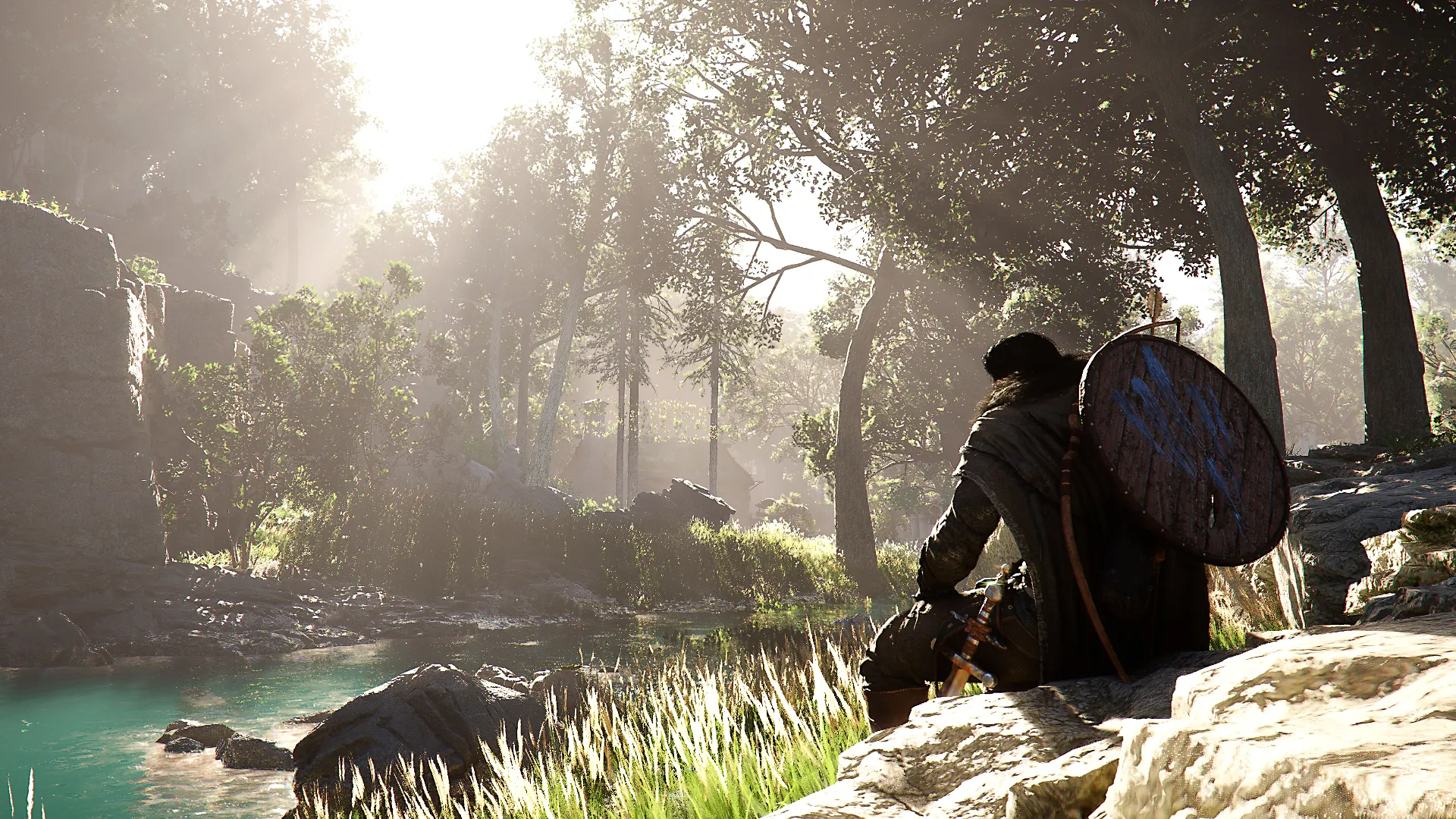 Official Press Kit Image of Crimson Desert Open World Forest