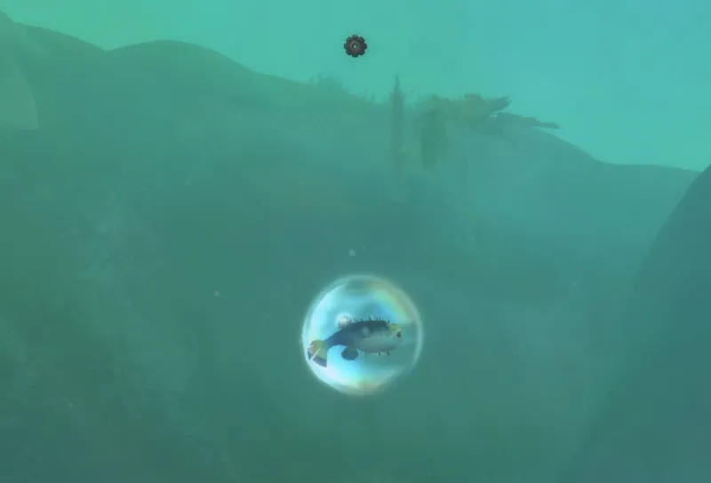 Secret fish containing the Bubblefilled Flounder.