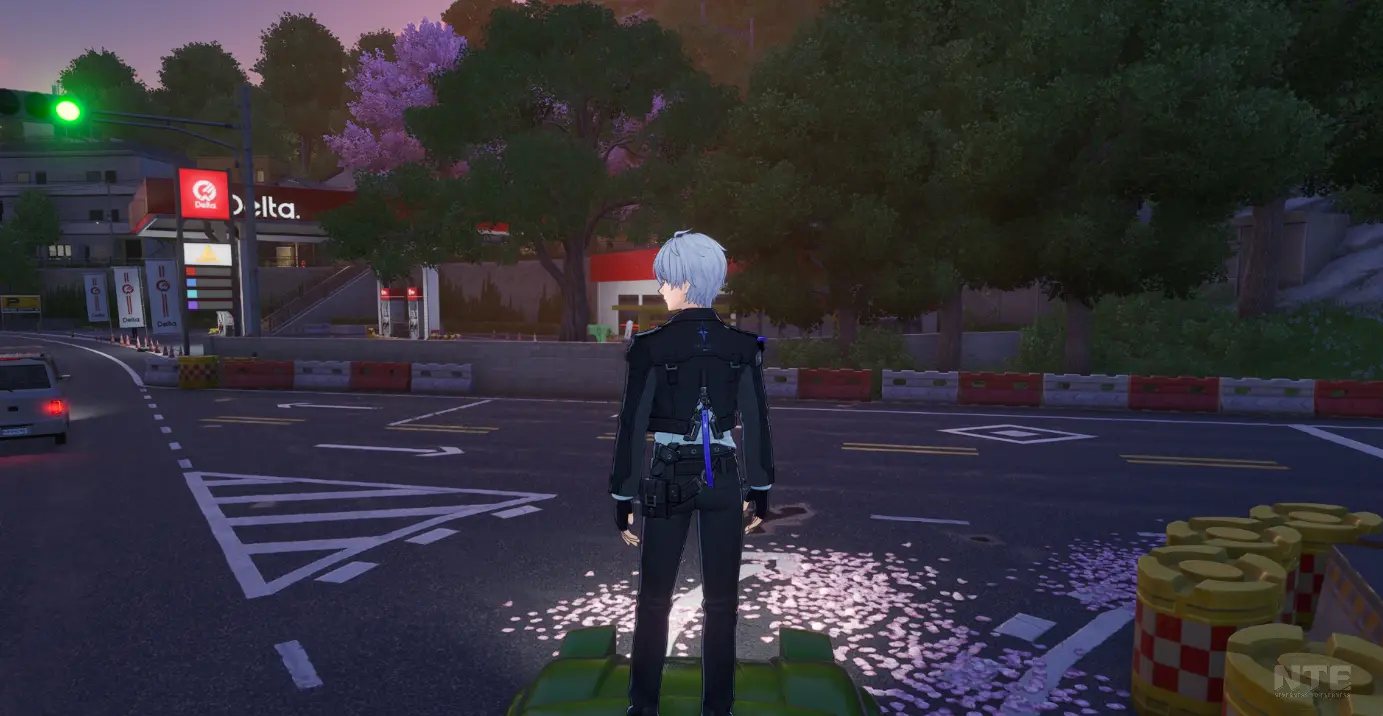 Zero riding a car on the roof