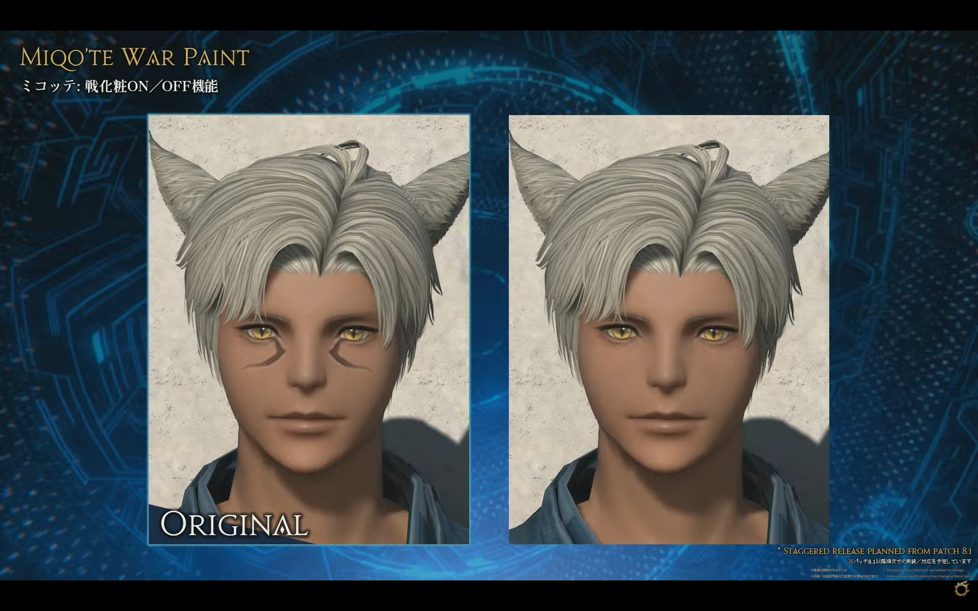 Miqo'te sans makeup